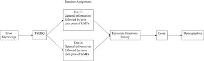 Perry hotsell epistemic cognition